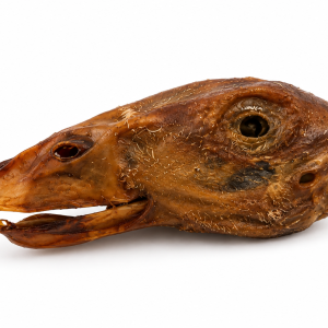DUCK HEAD SINGLES