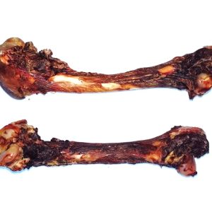 FEMUR BONES SINGLES